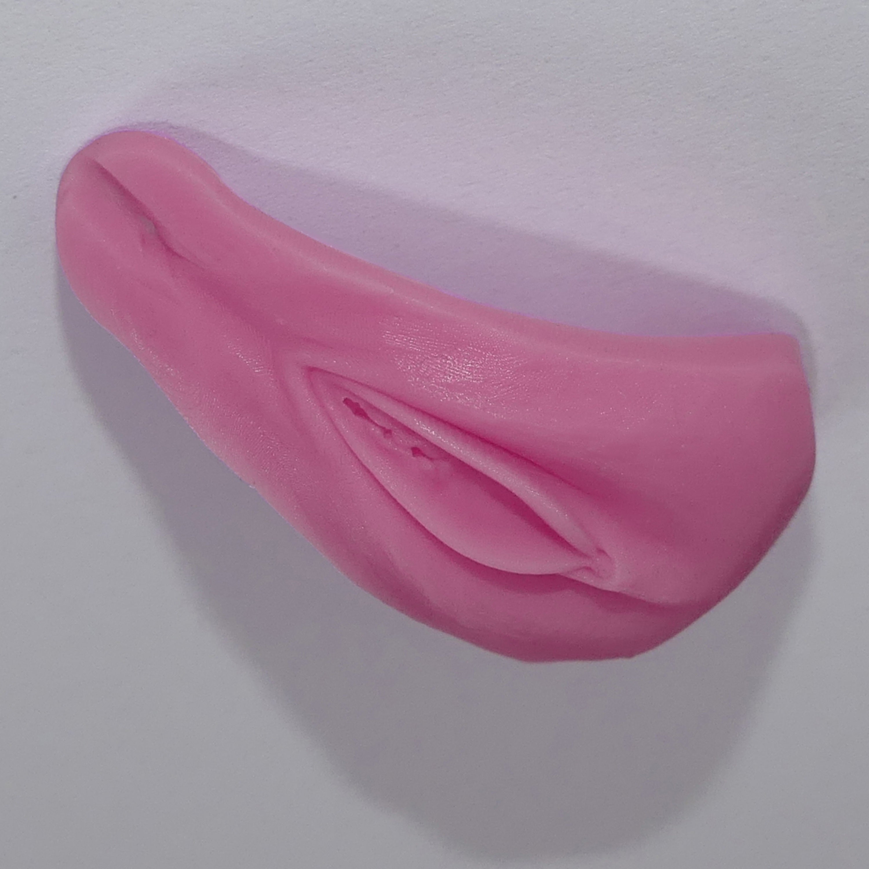 A pink silicone adult novelty item for dolls with realistic labia, clitoris, and anus, a textured surface, photographed on a plain light background.