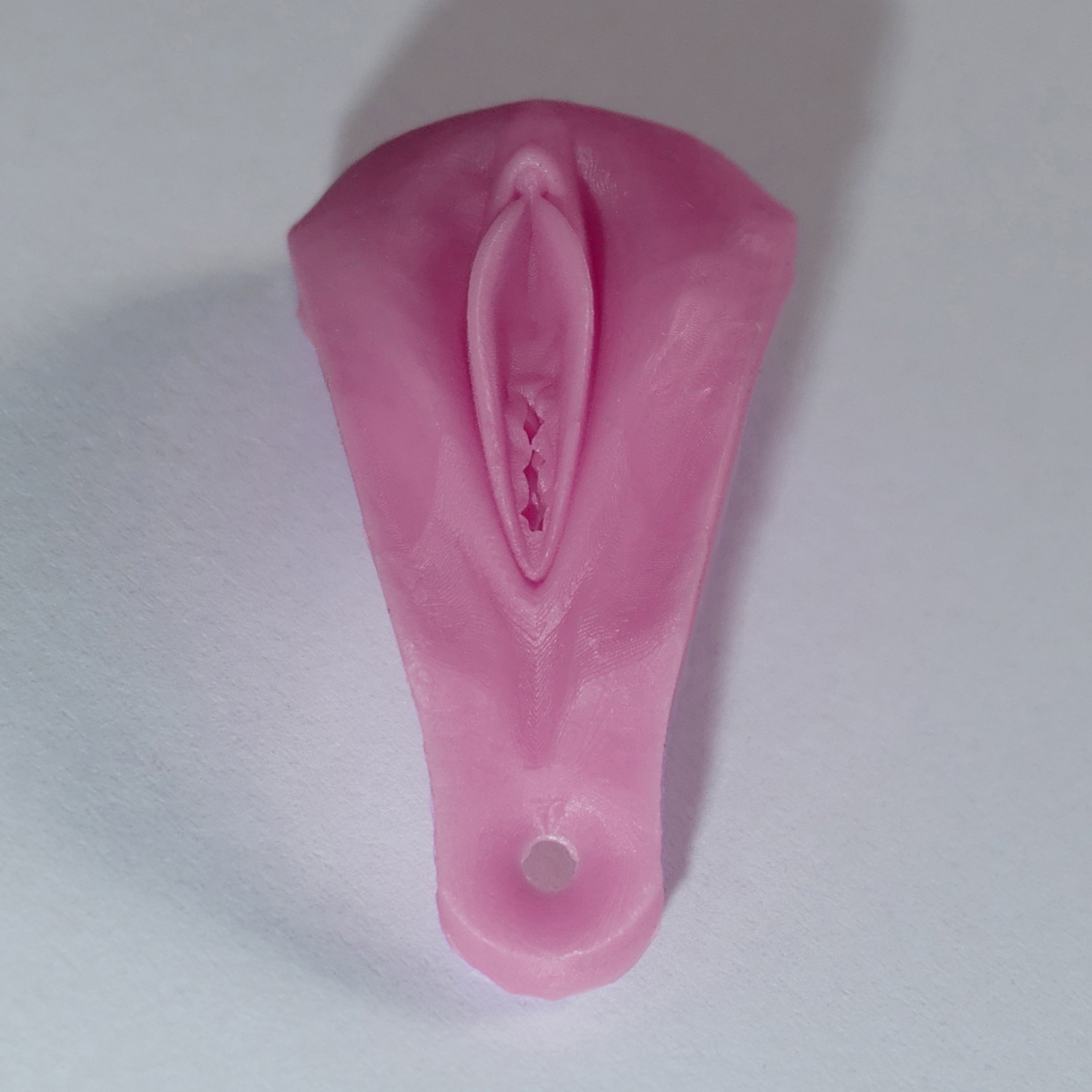 A pink silicone adult novelty item with a realistic textured vulva and an anus at the base, photographed on a plain light background.